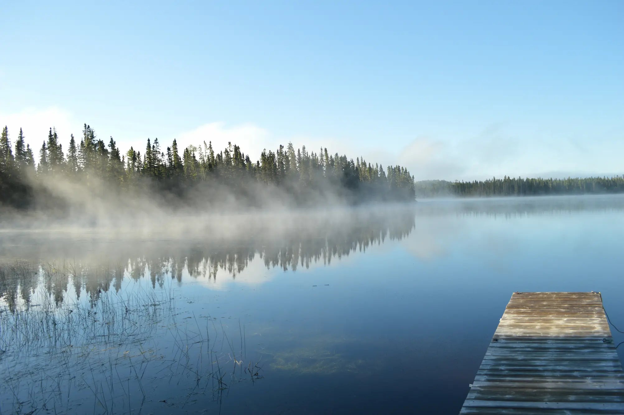 Lac calme avec quai et forêt en brume au Québec – environnement idéal pour la pêche et le plein air